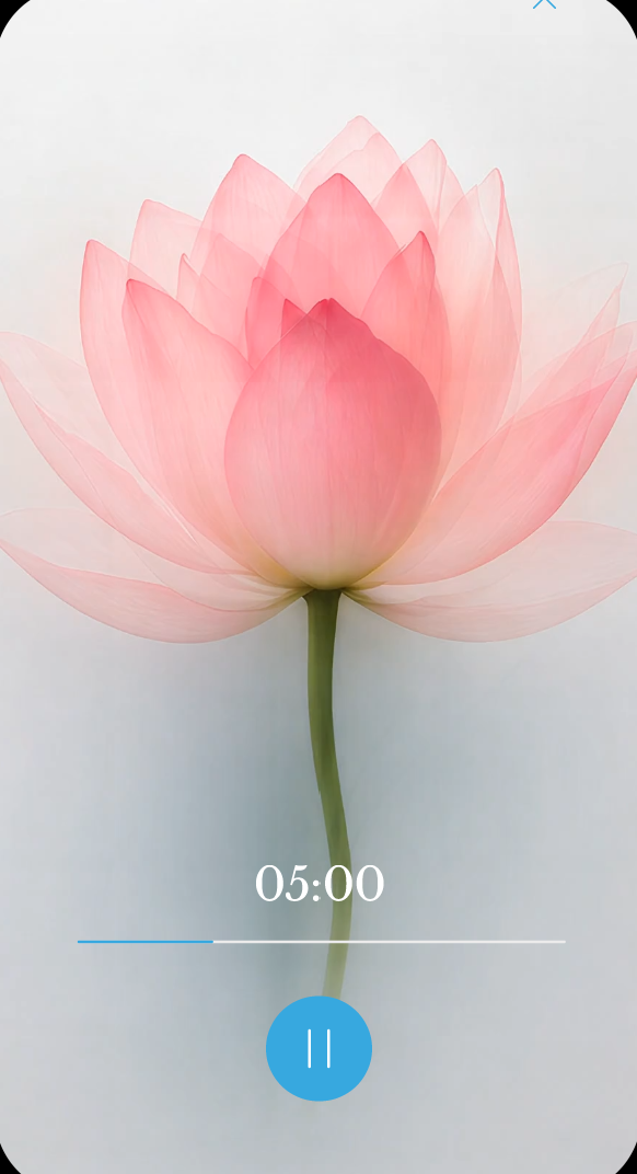Meditation lotus